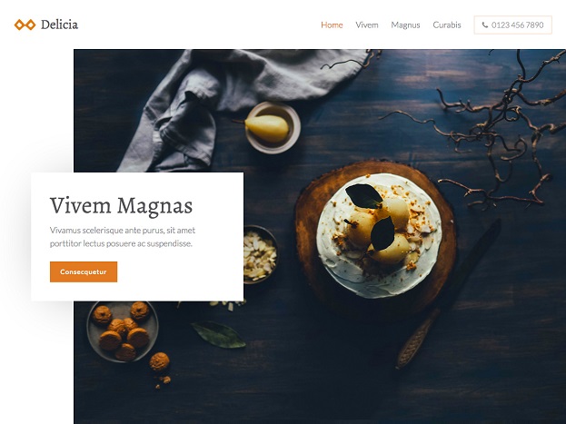 Sitebuilder Delicia template voorbeeld
